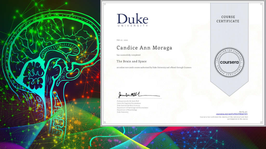 A digital course certificate from Duke University awarded to Candice Ann Moraga for successfully completing the course 'The Brain and Space', featuring a stylized brain graphic in the background.